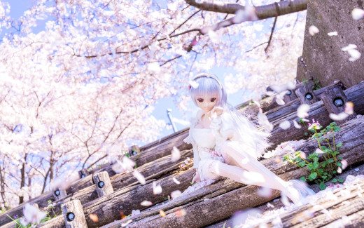965030 (a): :2880x1800